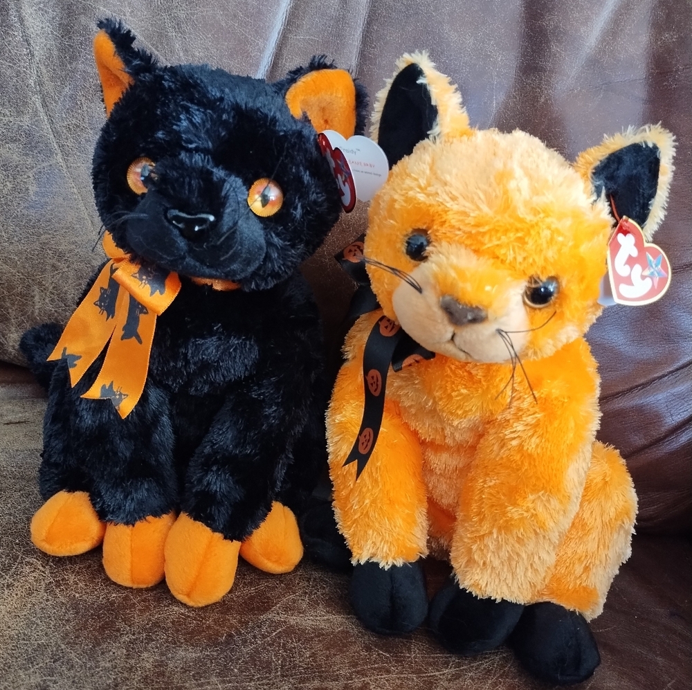 🎃 Ty🐈‍⬛🐈